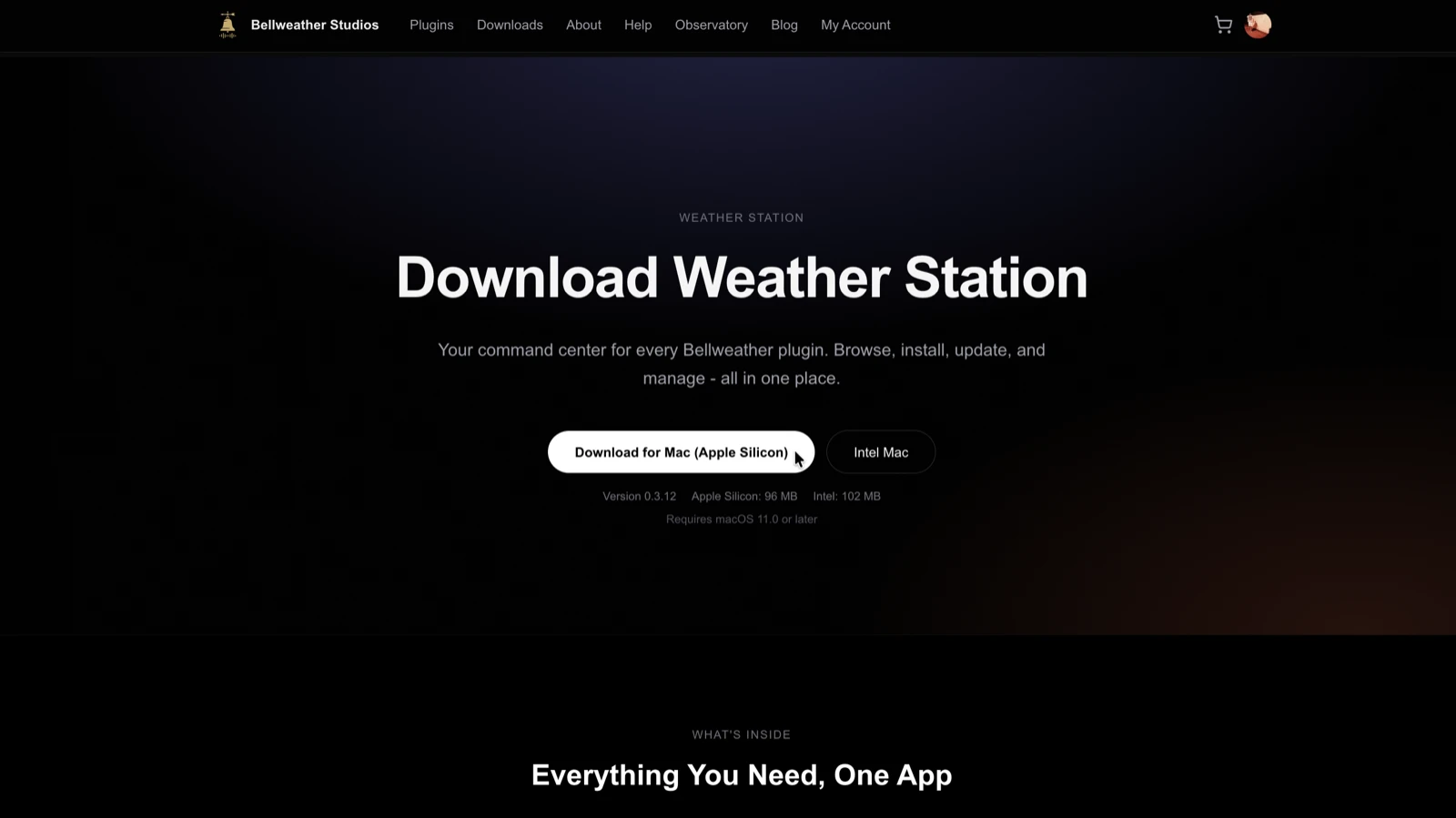 Weather Station download page with architecture-specific buttons